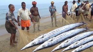 People Chanting amp Fishing  Amazing Fish Catching Process  Kovalam Beach Kerala India [upl. by Aztiray]