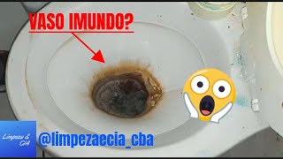 COMO REMOVER CROSTA E SUJEIRA SEU VASO SANITÁRIO [upl. by Gilead]