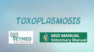 Toxoplasmosis [upl. by Auqemahs449]