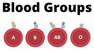 ABO Blood Group System AB0 Blood types amp compatibility explained [upl. by Deborath]