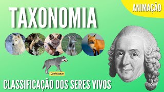 TAXONOMIA  CLASSIFICAÇÃO DOS SERES VIVOS  Animação [upl. by Gena893]