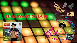 El Guayabo De La Ye  Lisandro Meza Letra [upl. by Wyon883]