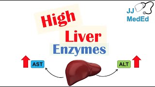 High Liver Enzymes  Aspartate vs Alanine Aminotransferase AST vs ALT  Causes [upl. by Lidstone]