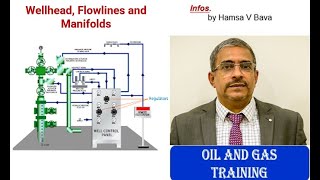 Wellhead Flowlines and Manifolds [upl. by Ardnuhs]