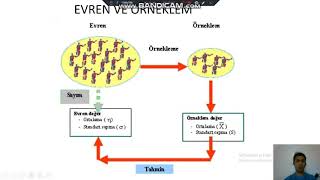 Örnekleme Yöntemleri 1 [upl. by Solim455]