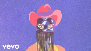 Orville Peck  Fancy Official Audio [upl. by Nannoc]