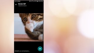 Cómo adjuntar GIFS en WhatsApp  ENTERCO [upl. by Yelbmik]