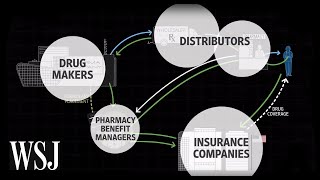 How Drug Prices Work  WSJ [upl. by Levania893]