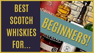 Best Scotch Whiskies for Beginners  2021 [upl. by Bekki321]