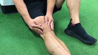 Knee Cap Patella Mobilization [upl. by Notsirhc]