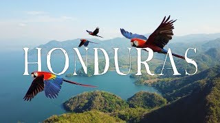 Honduras Travel Video  WANDR Roatan Copan Lake Yojoa Macaws and MORE [upl. by Marin]