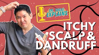 Dr Sugai Explains Itchy Scalp and Dandruff What Shampoos to Consider [upl. by Ailaroc344]