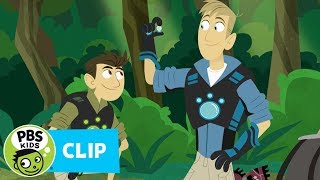 WILD KRATTS  Rainforest Adventure  PBS KIDS [upl. by Yanat]