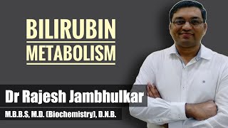 Bilirubin metabolism  Heme catabolism by Dr Rajesh Jambhulkar [upl. by Poore]