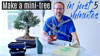 How to make a bonsai tree  from a cutting [upl. by Ewolram]