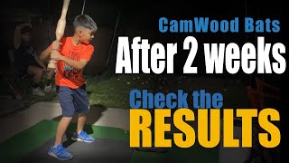 CamWood Bat 2 week progress Results [upl. by Enyallij880]