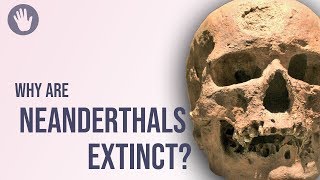 Why Are Neanderthals Extinct [upl. by Assilev]