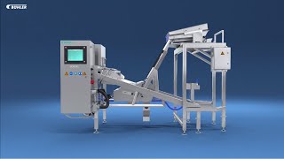 SORTEX E PolyVision™ optical sorter for PET recyclers [upl. by Nylsor]