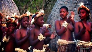 Beautiful Traditional African Zulu Dancing Africa Travel Channel [upl. by Korie]