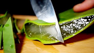 ASMR Cutting Aloe Vera [upl. by Liza]