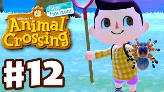 Catching a Tarantula  Animal Crossing New Horizons  Gameplay Walkthrough Part 12 [upl. by Alesram538]