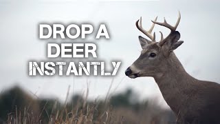 This Will Drop a Deer Instantly [upl. by Westlund781]