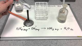 Testing for the ammonium ion [upl. by Olotrab45]