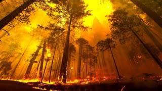 Yosemite Forest Fire Time Lapse and Flyover [upl. by Havelock]