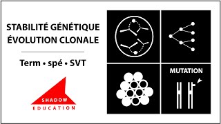 Stabilité génétique et évolution clonale  Term spé SVT [upl. by Hola132]