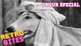 Lassie  1 Hour Special  Lassie English Full Episodes 🐕 [upl. by Murial822]