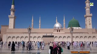 Saudi Arabia Travel Masjid Nabawi Walk in amp Out [upl. by Yrroc]