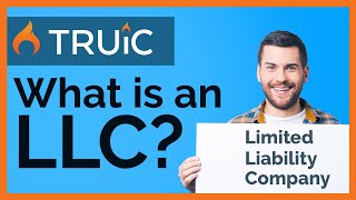 What is an LLC   Limited Liability Company [upl. by Asilenna504]