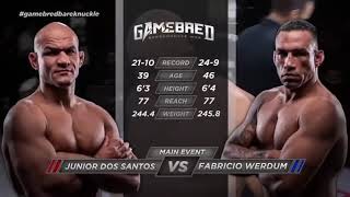 LUTA COMPLETA FABRÍCIO WERDUM VS JUNIOR CIGANO [upl. by Nevs]