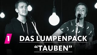 Das Lumpenpack quotTaubenquot  1LIVE Session [upl. by Imelda]