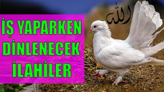 İŞ YAPARKEN DİNLENECEK İLAHİLER 5 🌺 BİR MÜBAREK CUMA GÜNÜ ALLAHIM 🌼 GİDİYORUM MEDİNEYE [upl. by Walden]