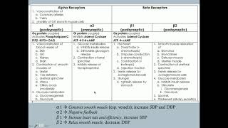 Agonists VS partial agonists VS inverse agonists VS antagonists [upl. by Pogah289]