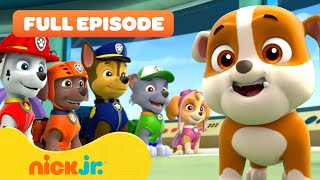 Rubble Joins the PAW Patrol and the Pups Save a Walrus  FULL EPISODES  Nick Jr [upl. by Slin]