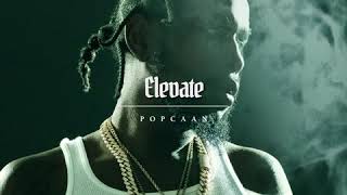 Popcaan  Elevate Official Audio [upl. by Lraed974]