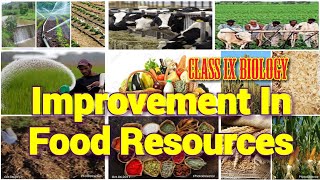 Improvement In Food Resources Class 9 Biology Full Chapter [upl. by Emmons270]