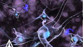 How Neurotransmission amp brain signals work  3D animation [upl. by Weir108]