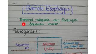 Barretts Esophagus [upl. by Rosetta696]