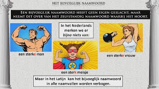 Het bijvoeglijk naamwoord  Latijn van Magister Weel deel 20 [upl. by Elamef]