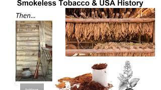 Smokeless Tobacco 101 [upl. by Guimar]