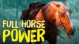 Red Dead Redemption 2 Horses  Everything You Need To Know [upl. by Calista98]