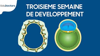 Troisième semaine de développement  Embryologie générale [upl. by Norval336]