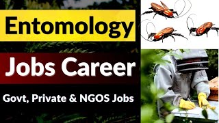 Entomology  Careers in Entomology  Entomology Job Scope [upl. by Enovad]