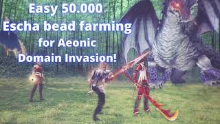 Final Fantasy XI Easy 50k Escha Bead farming for Aeonic Domain Invasion [upl. by Gustie]