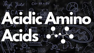 Acidic Amino Acids Aspartate amp Glutamate  MCAT [upl. by Hattie331]