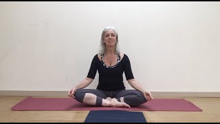 Critical Alignment Yoga oefeningen voor je onderrug [upl. by Reneta336]