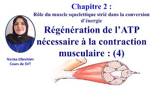 Cours SVTBacBiof Chapitre 2Rôle du muscle squelettique strié dans la conversion d’énergie SVTPC [upl. by Slotnick]